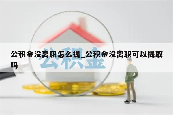 公积金没离职怎么提_公积金没离职可以提取吗